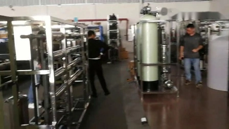 Sistema di osmosi inversa RO in acciaio inossidabile pretrattamento per la produzione di bevande/Attrezzature per il trattamento delle acque di pozzi per bevande